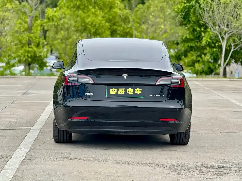 Tesla Model 3 2023 из CN, фото 4