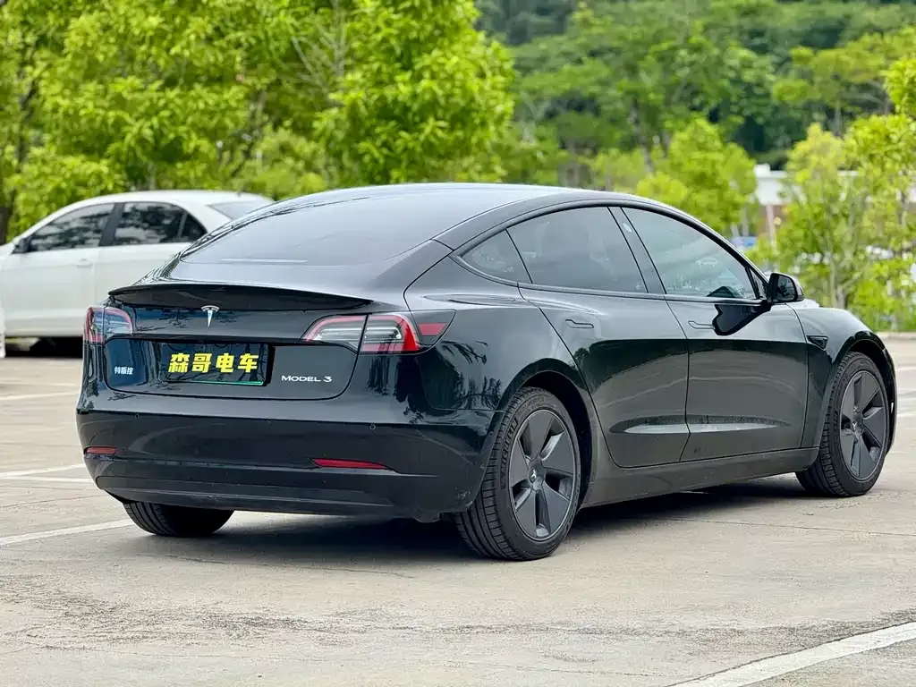Tesla Model 3 2023 из CN, фото 6