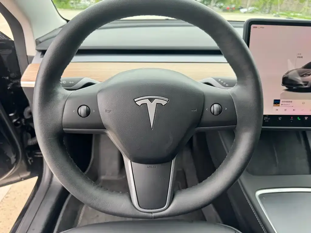 Tesla Model 3 2023 из CN, фото 9