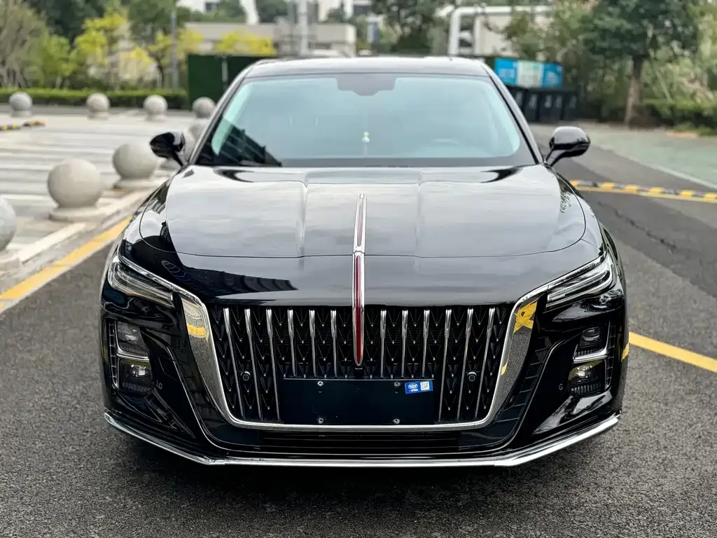 Hongqi H5 2023 из CN, фото 2
