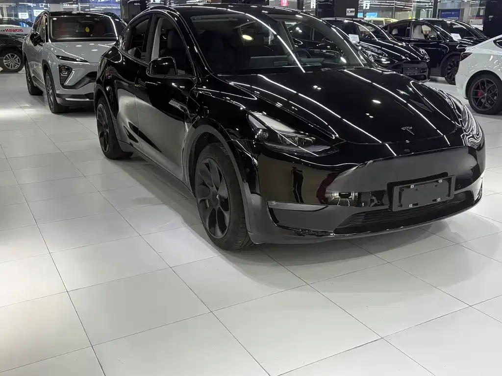 Tesla Model Y 2021 из CN, фото 3
