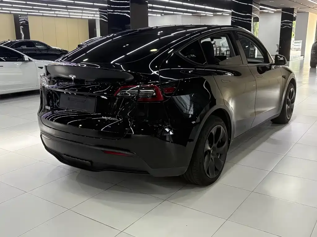Tesla Model Y 2021 из CN, фото 4