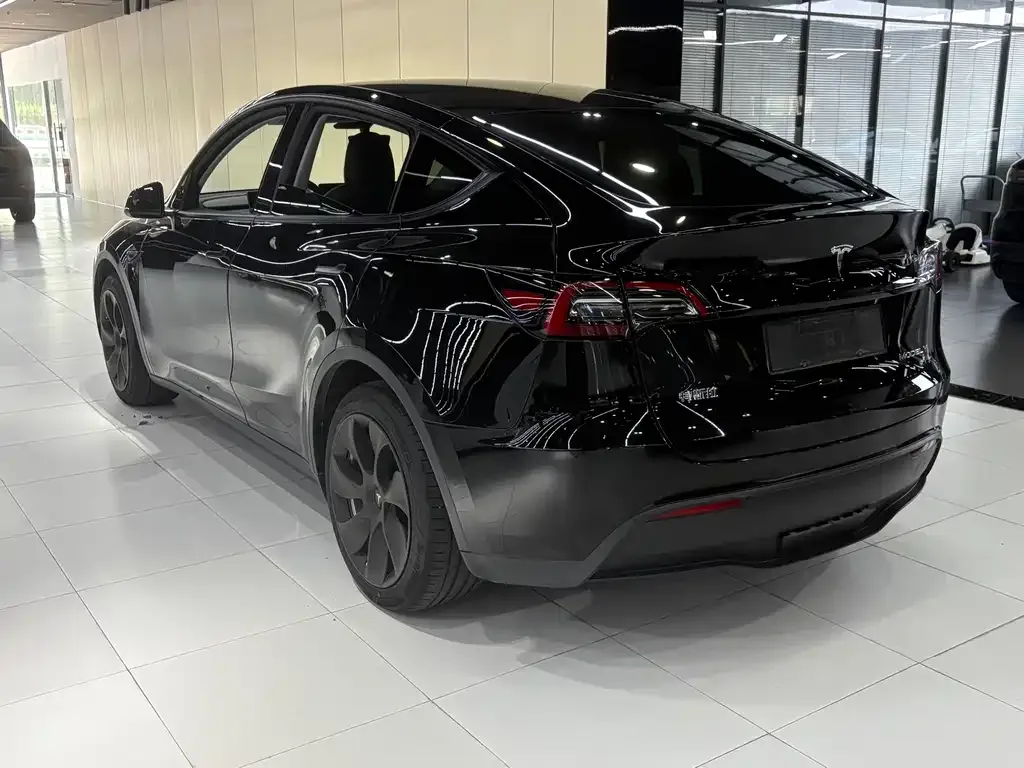 Tesla Model Y 2021 из CN, фото 5