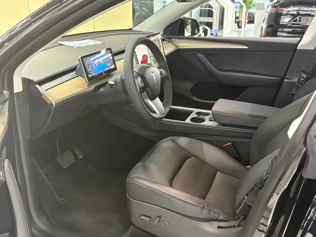 Tesla Model Y 2021 из CN, фото 6
