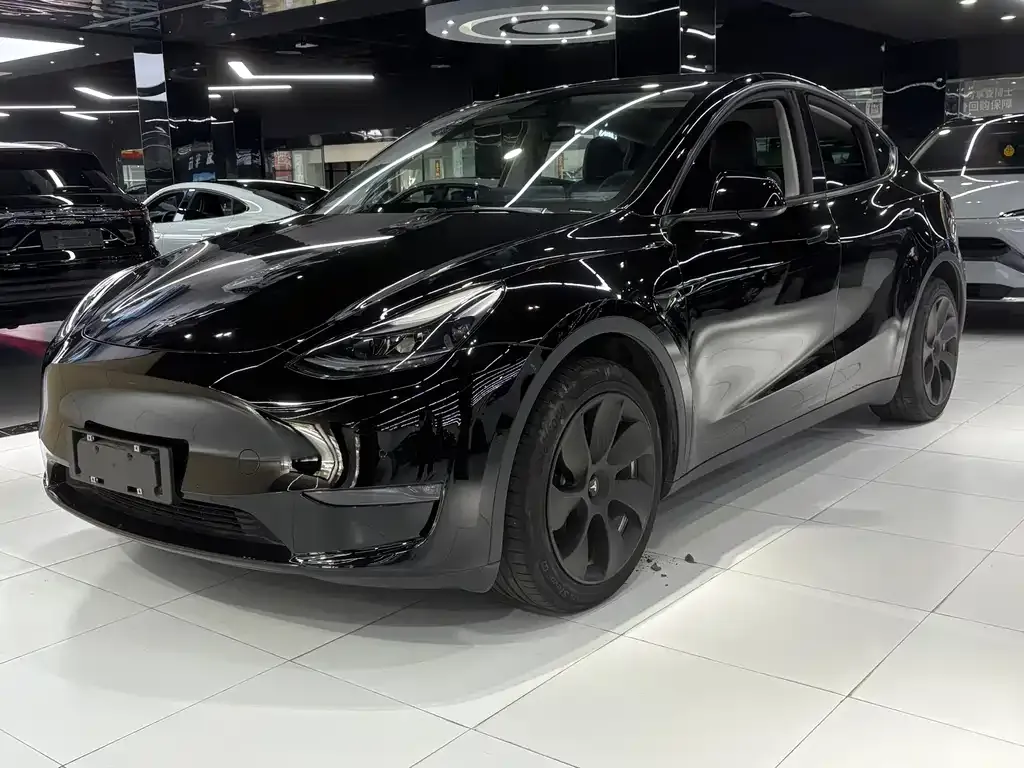 Tesla Model Y 2021 из CN, фото 8