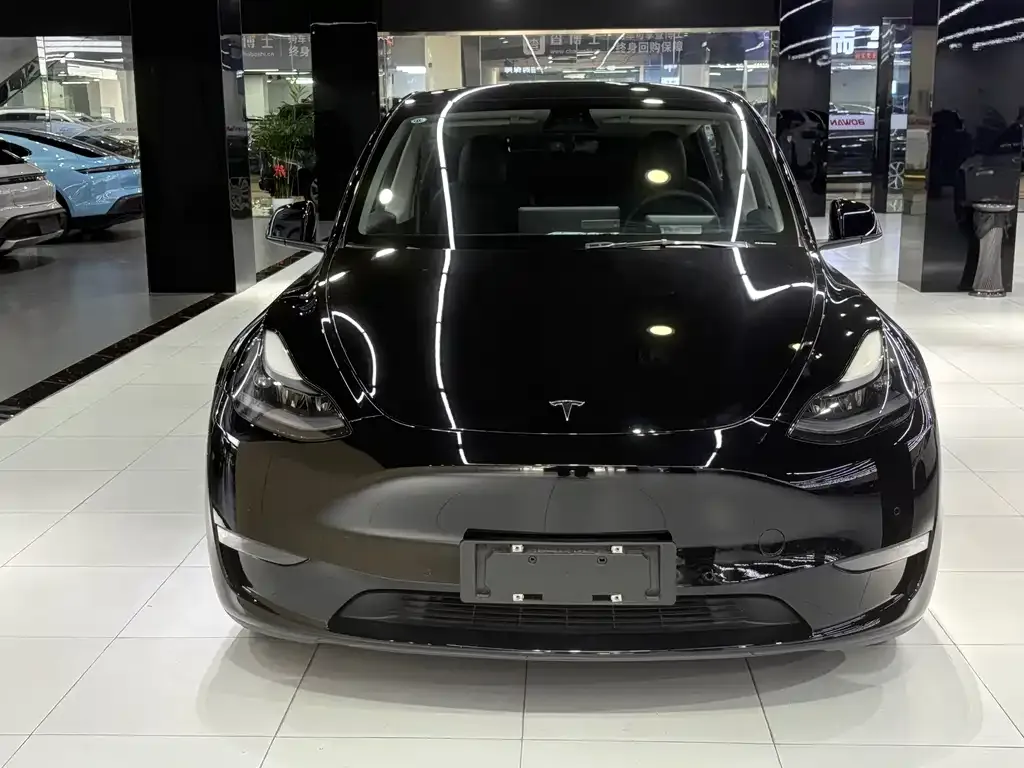 Tesla Model Y 2021 из CN, фото 9