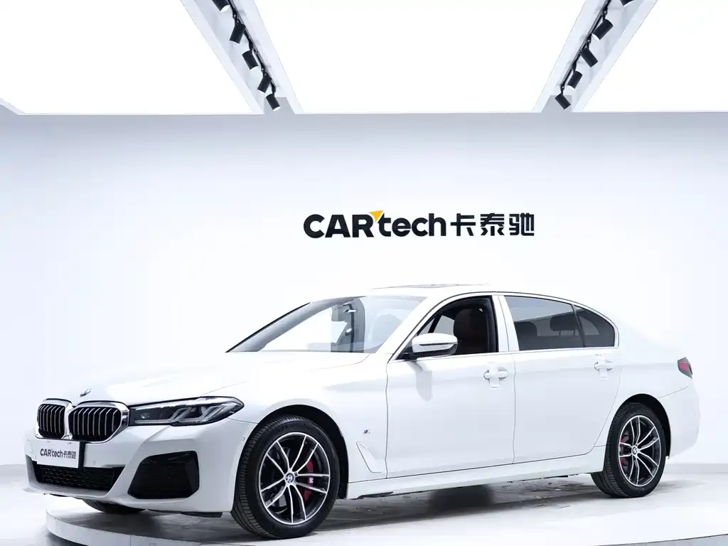 BMW 5 Series 2021 из CN, фото 1
