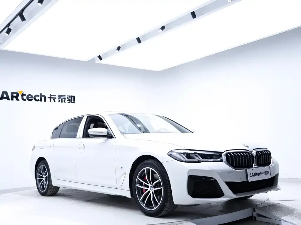 BMW 5 Series 2021 из CN, фото 10
