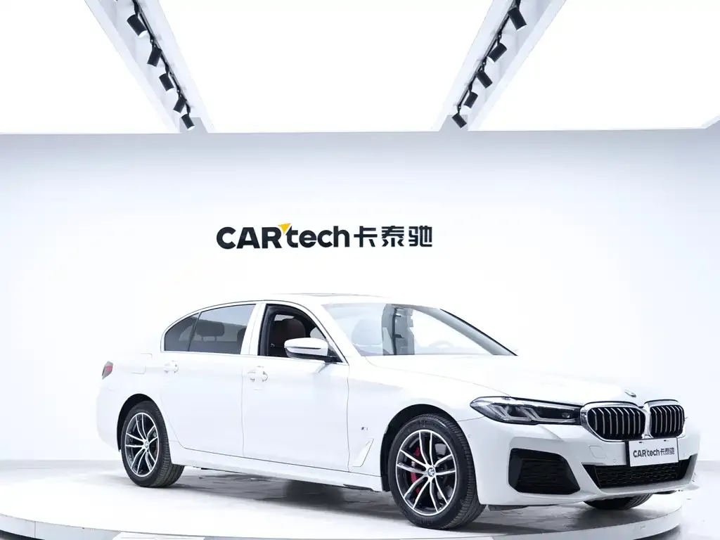 BMW 5 Series 2021 из CN, фото 3