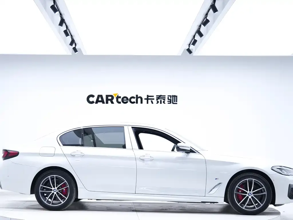 BMW 5 Series 2021 из CN, фото 4