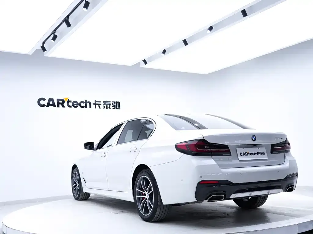 BMW 5 Series 2021 из CN, фото 6