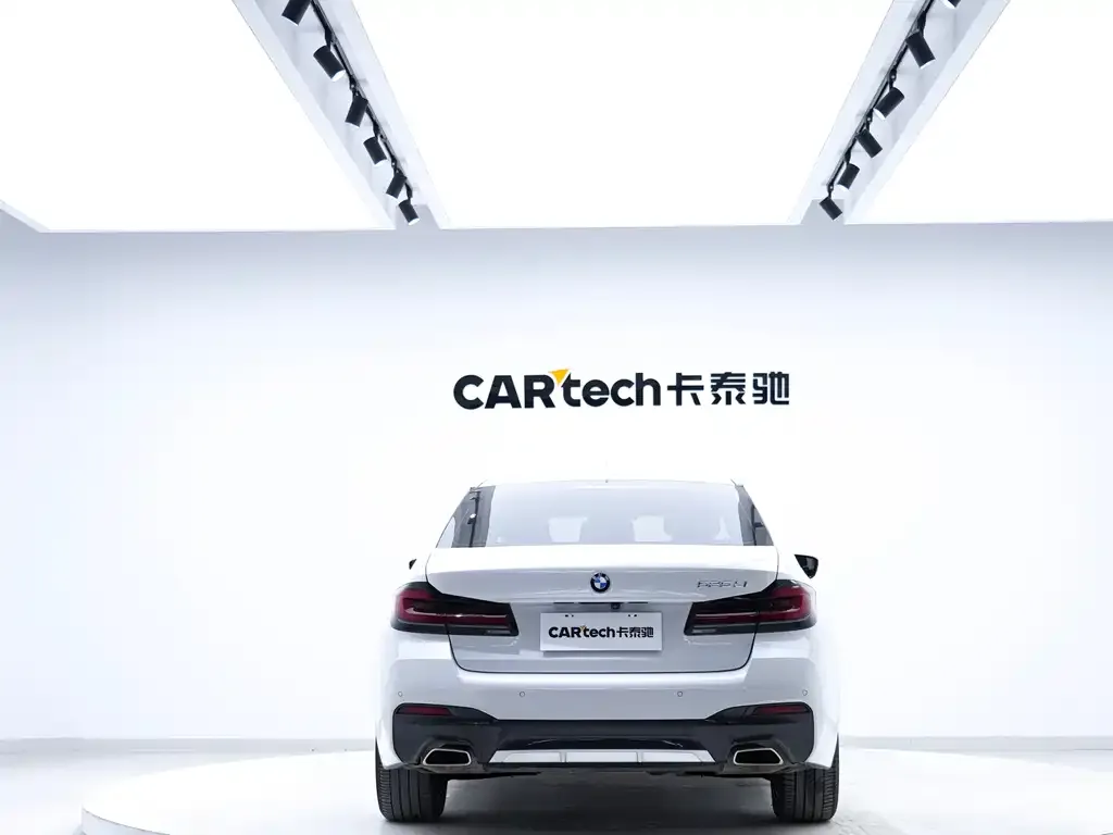 BMW 5 Series 2021 из CN, фото 7