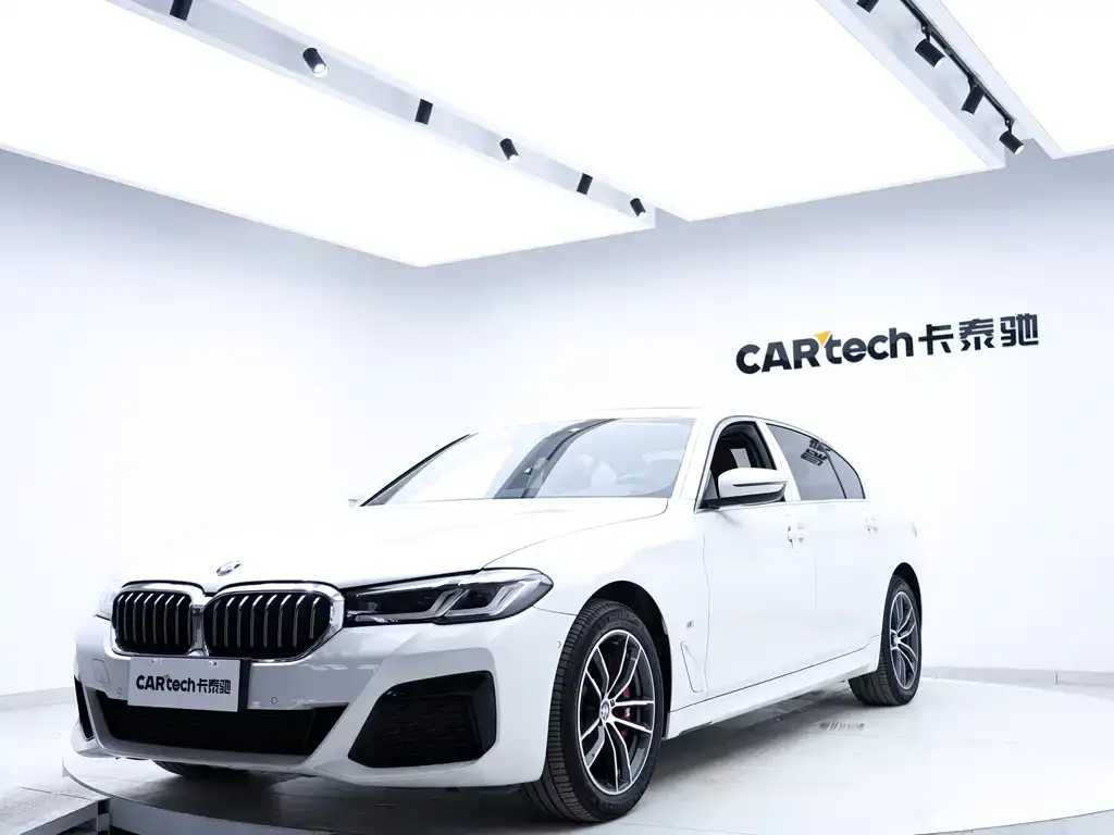 BMW 5 Series 2021 из CN, фото 9