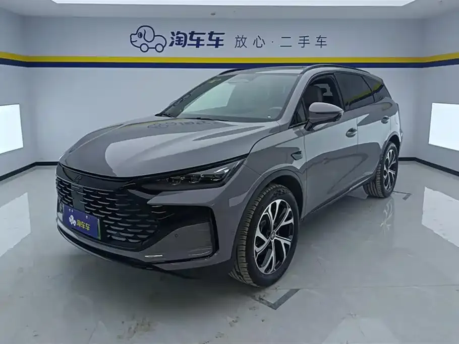 BYD Tang New Energy — фото 1