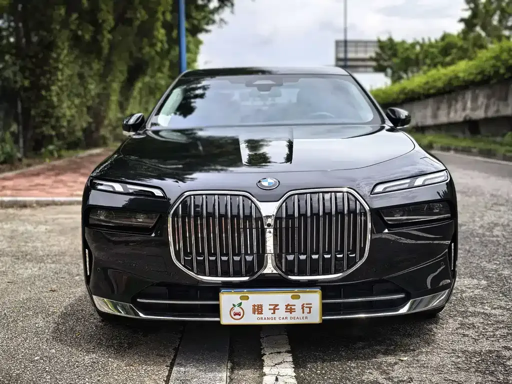 BMW 7 Series 2023 из CN, фото 2