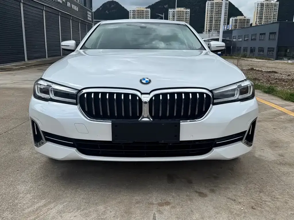 BMW 5 Series 2022 из CN, фото 2
