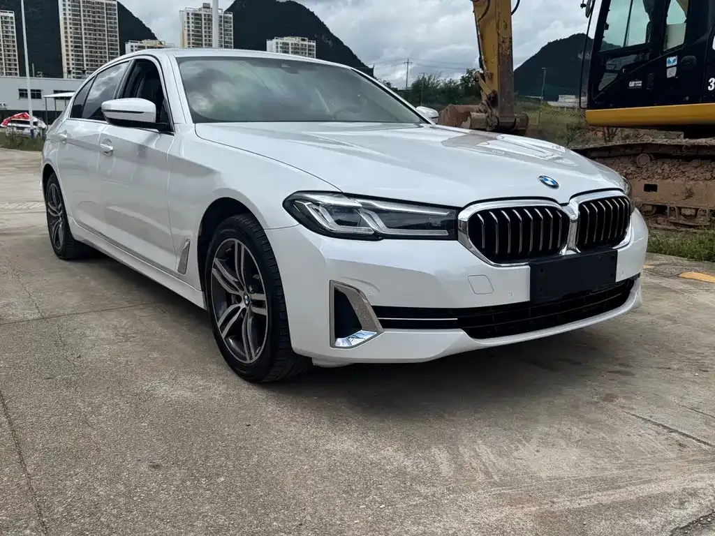 BMW 5 Series 2022 из CN, фото 3