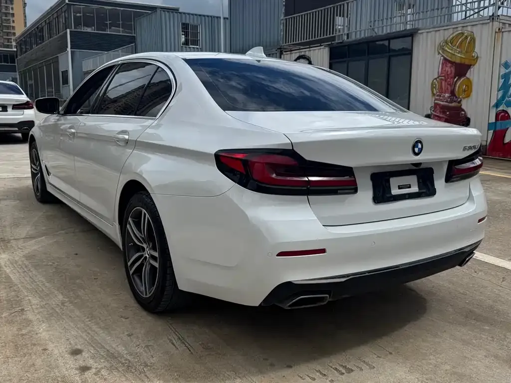 BMW 5 Series 2022 из CN, фото 7