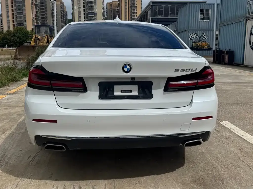 BMW 5 Series 2022 из CN, фото 8