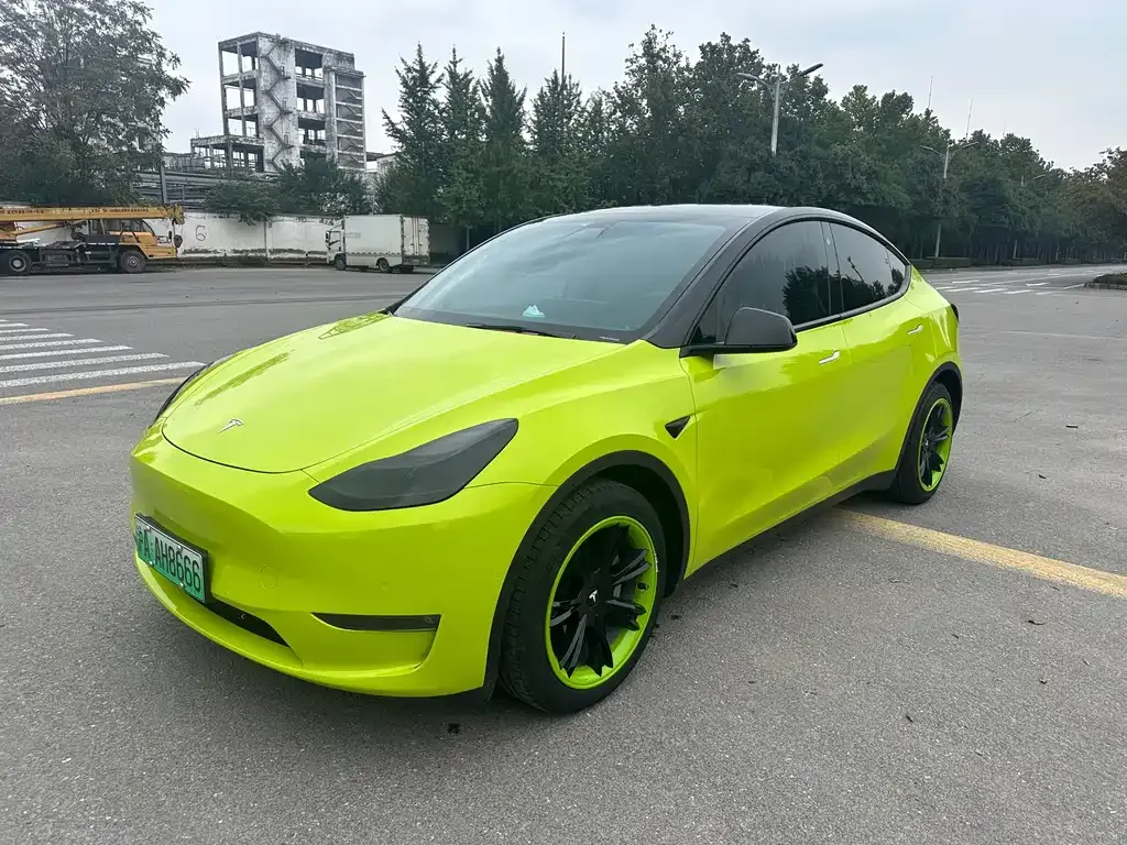 Tesla Model Y 2021 из CN, фото 1