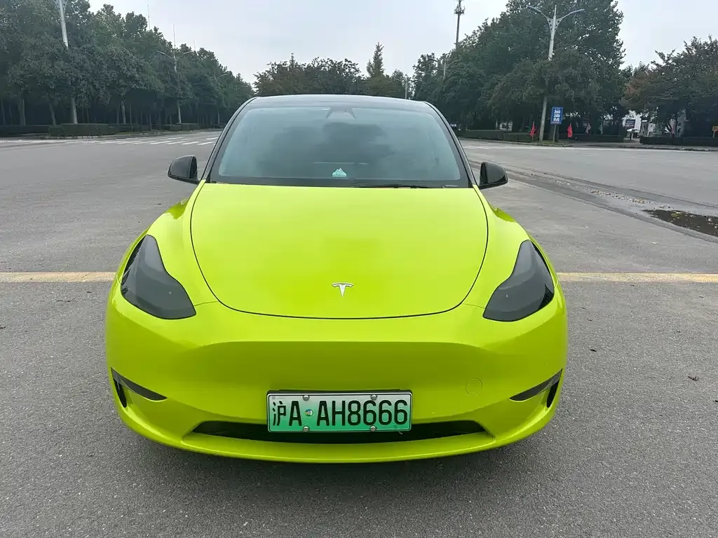Tesla Model Y 2021 из CN, фото 2
