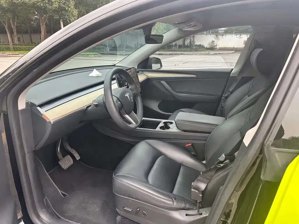 Tesla Model Y 2021 из CN, фото 4