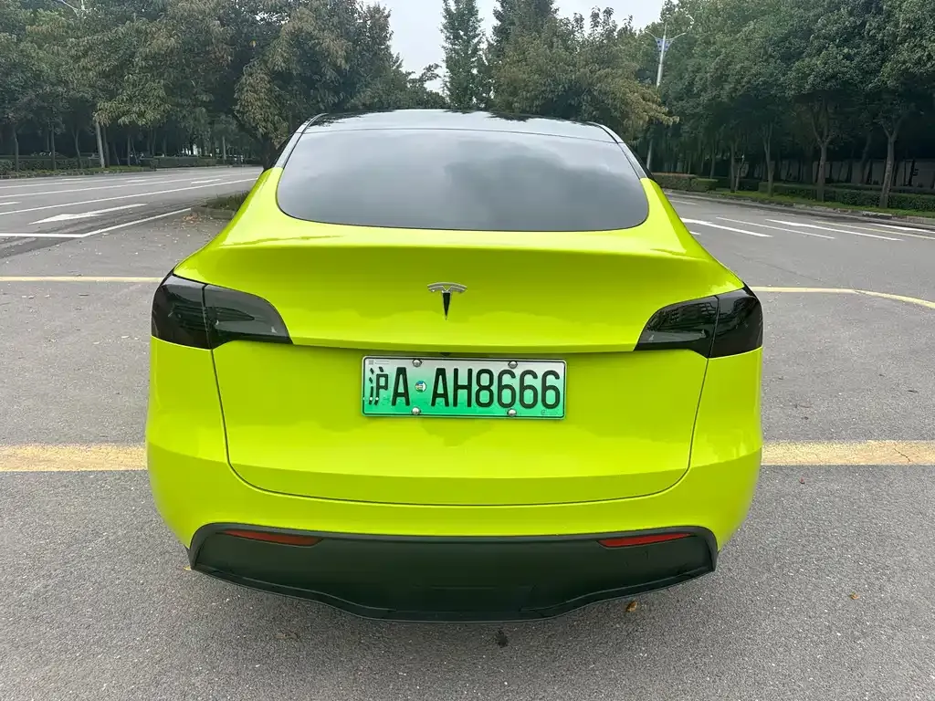 Tesla Model Y 2021 из CN, фото 9