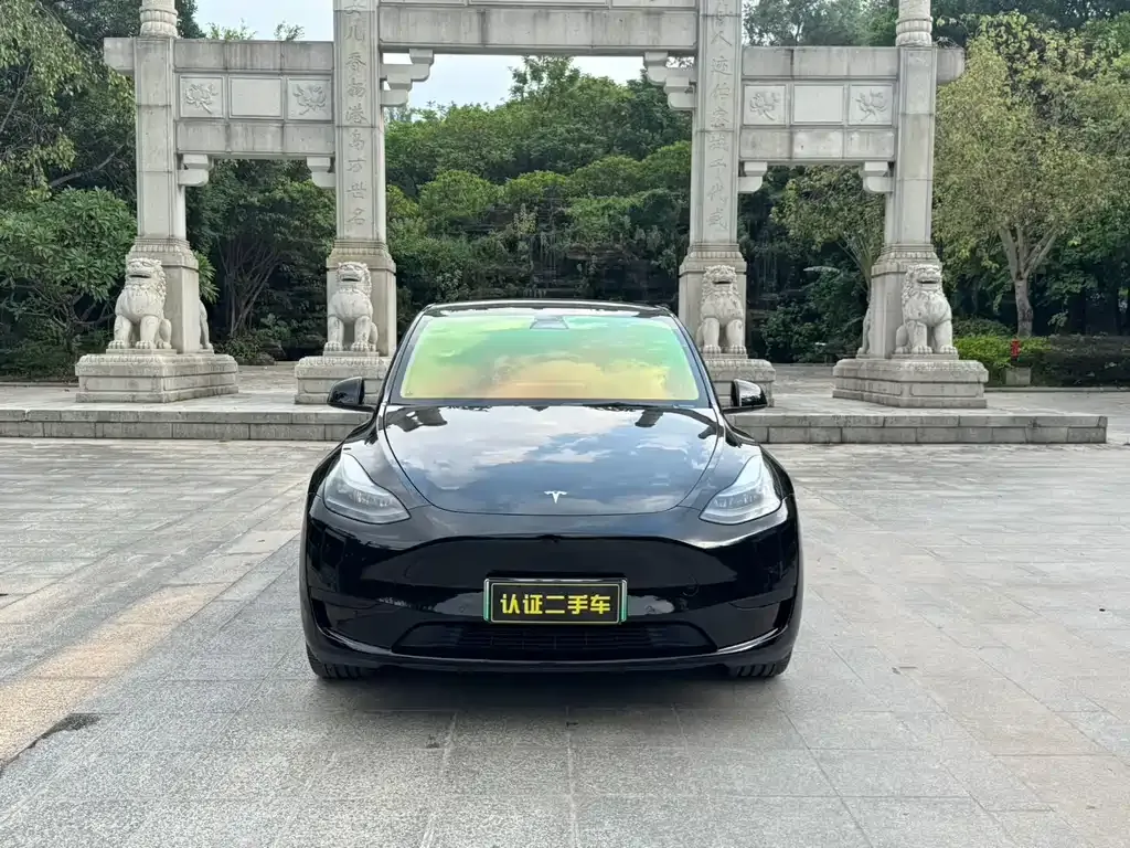 Tesla Model Y — фото 2
