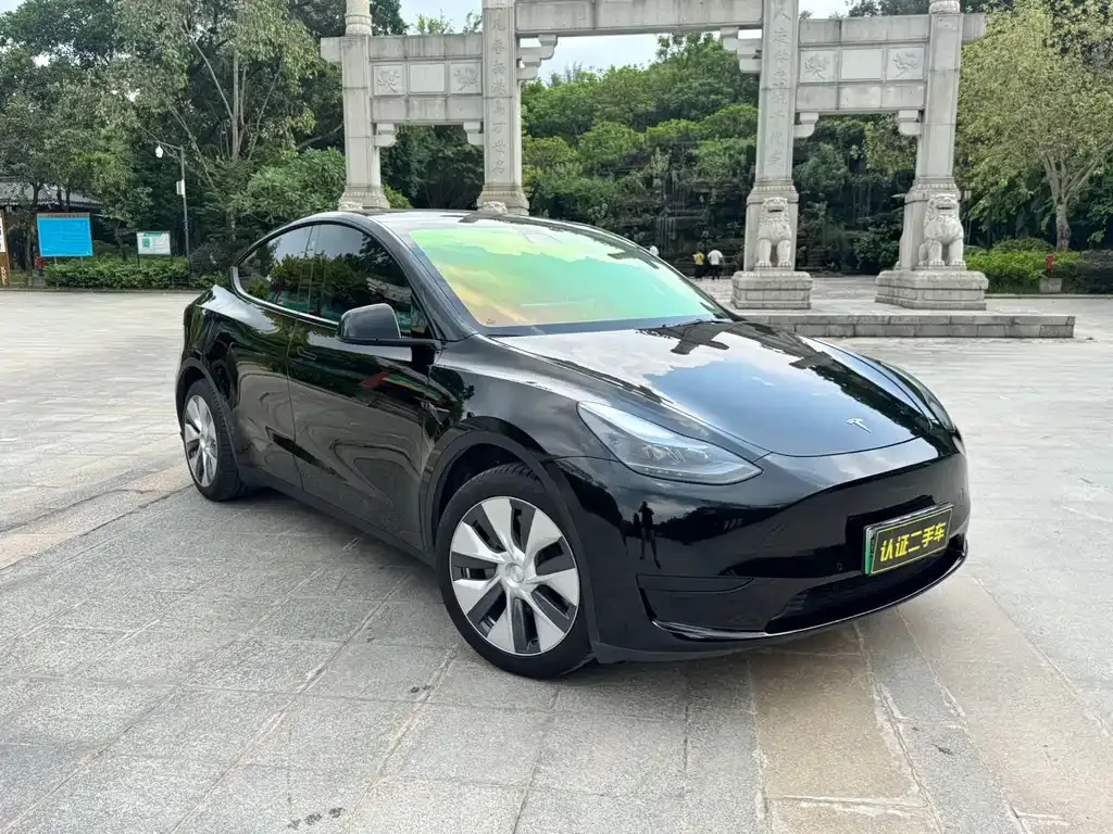 Tesla Model Y — фото 3