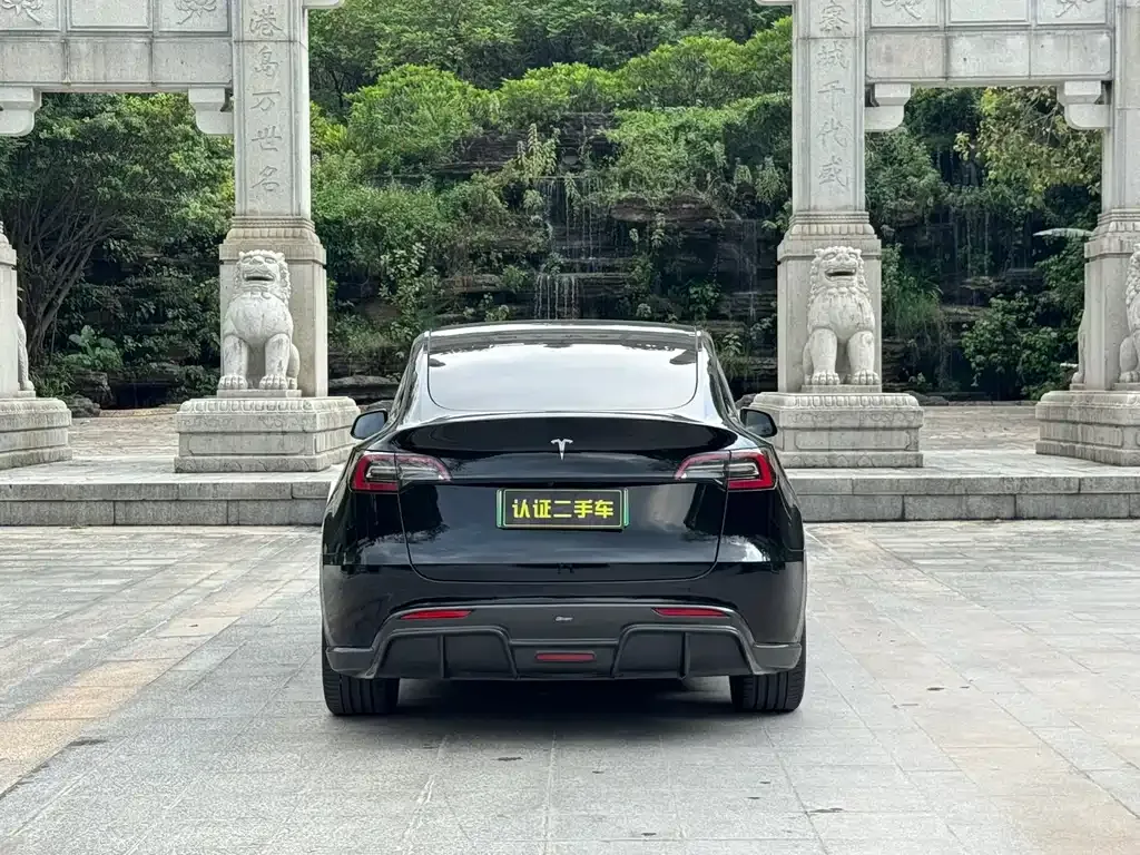 Tesla Model Y — фото 6