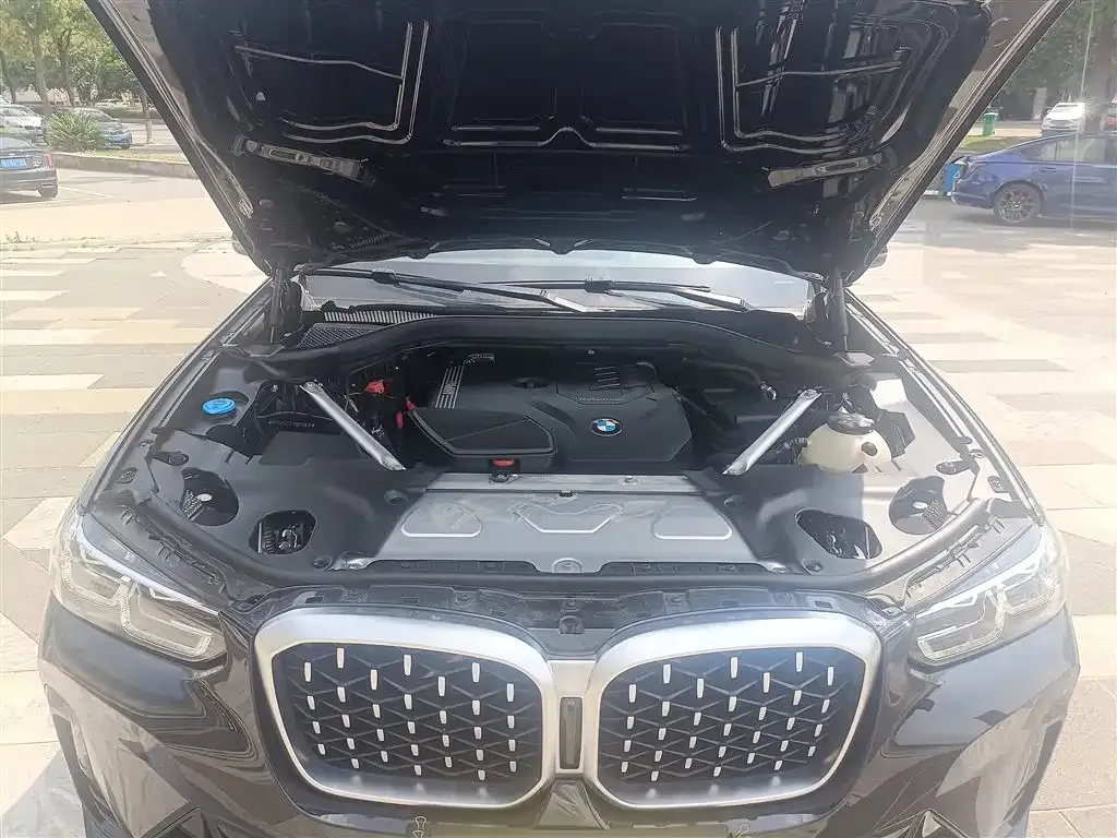 BMW X4 2023 из CN, фото 10