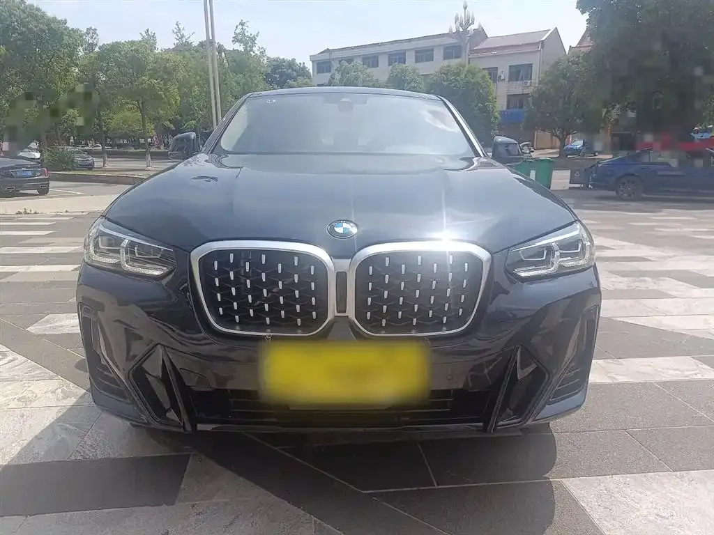 BMW X4 2023 из CN, фото 4