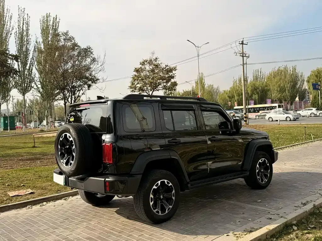 Tank 300 New Energy 2025 из CN, фото 8