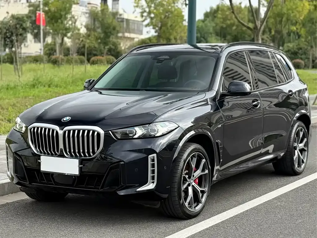 BMW X5 2024 из CN, фото 2