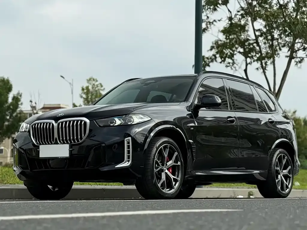 BMW X5 2024 из CN, фото 3