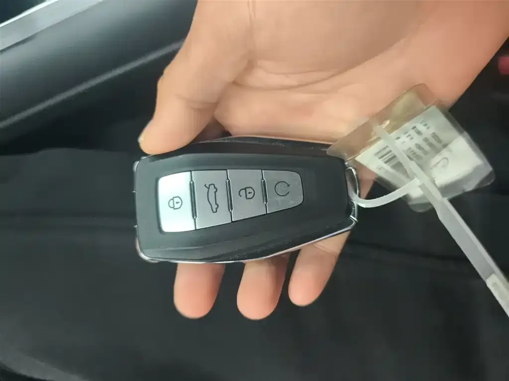 [object Object] Boyue L 2025 из CN, фото 9