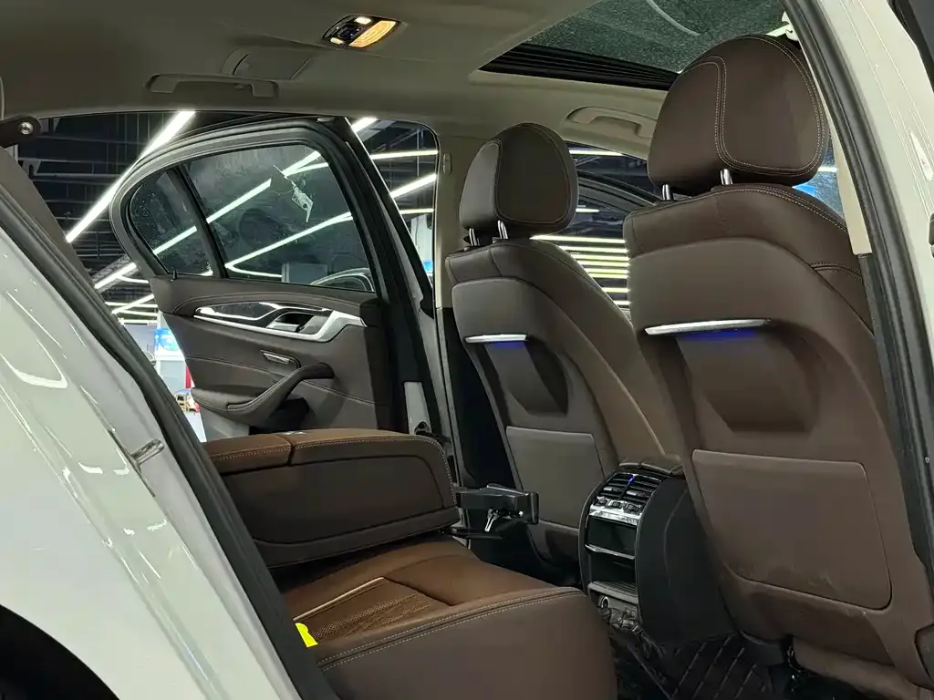 BMW 5 Series 2021 из CN, фото 7