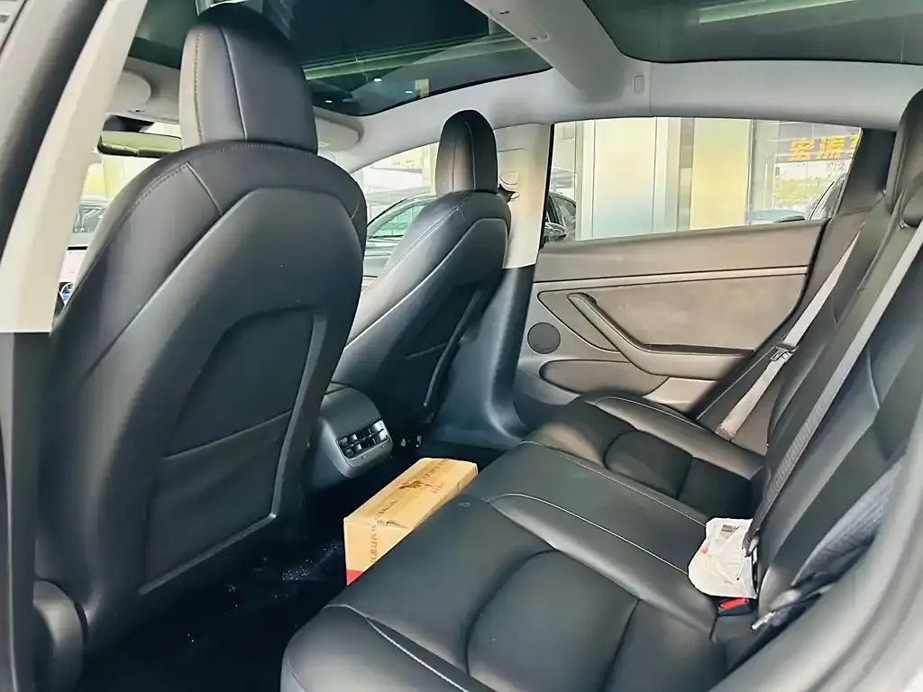 Tesla Model 3 2021 из CN, фото 9