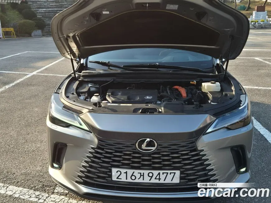 Lexus RX 2024 из KR, фото 6