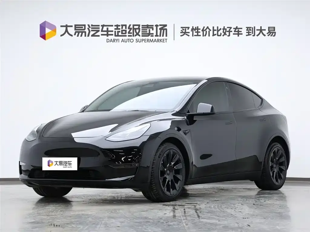 Tesla Model Y 2021 из CN, фото 1