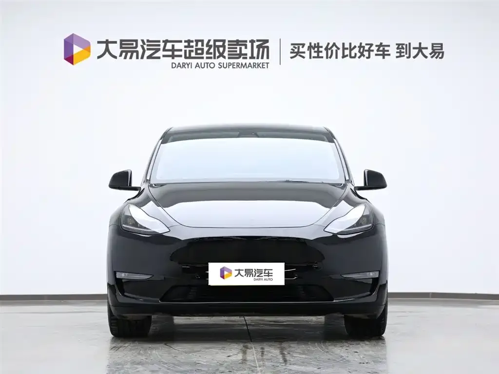 Tesla Model Y 2021 из CN, фото 2