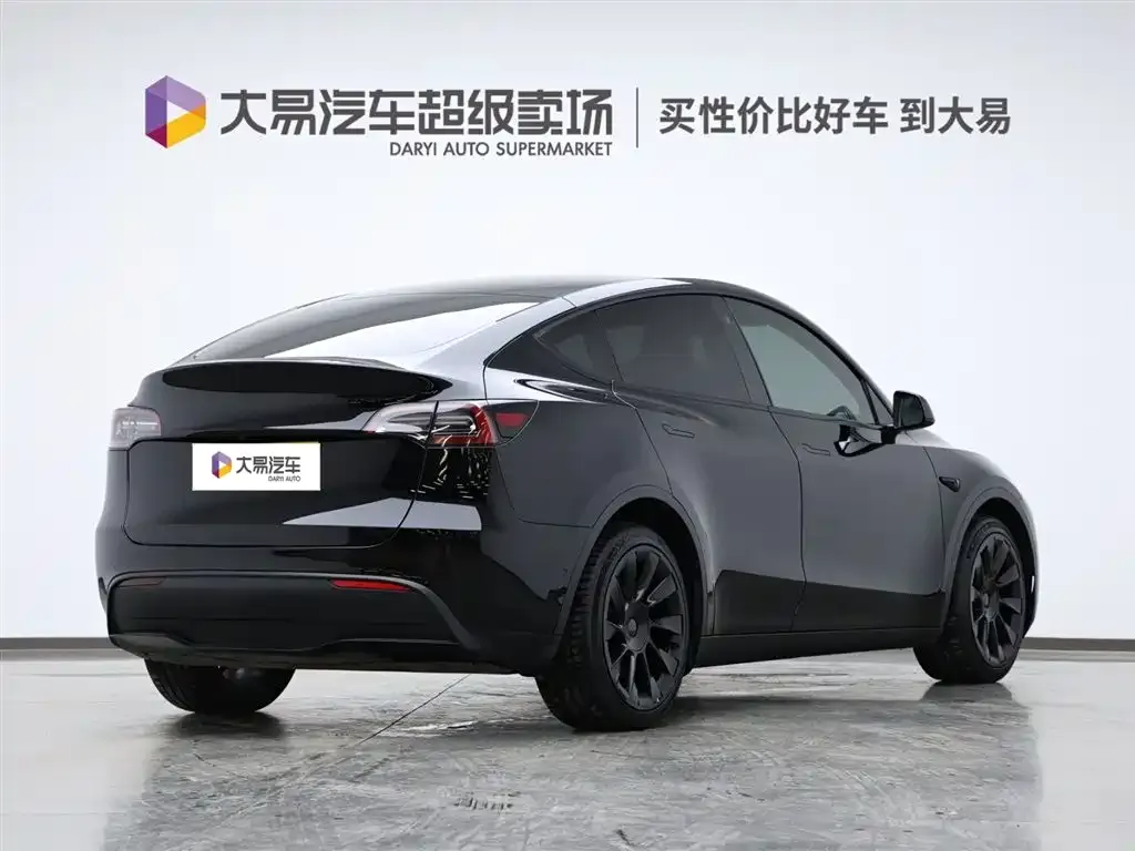 Tesla Model Y 2021 из CN, фото 3