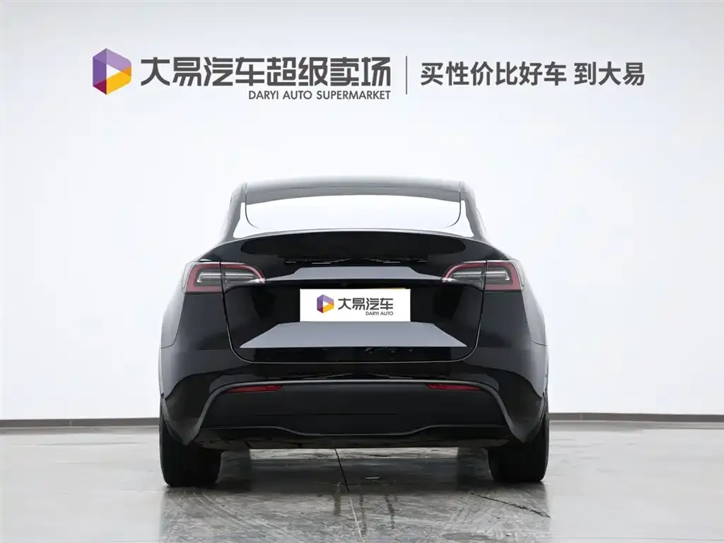 Tesla Model Y 2021 из CN, фото 4