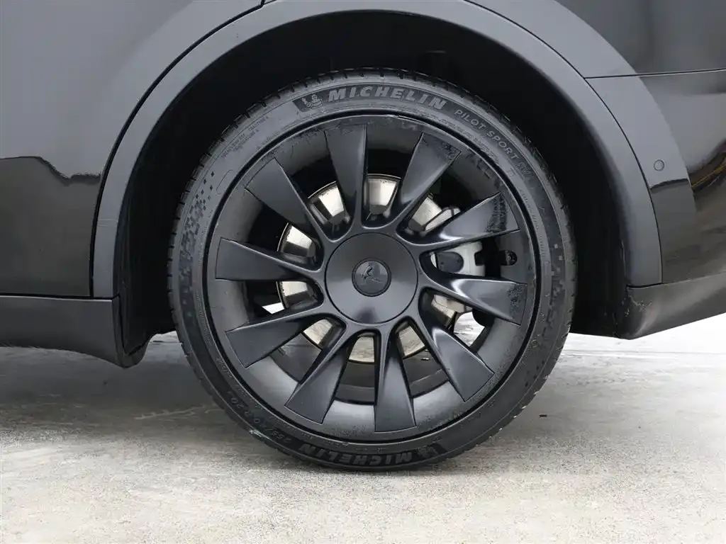 Tesla Model Y 2021 из CN, фото 7
