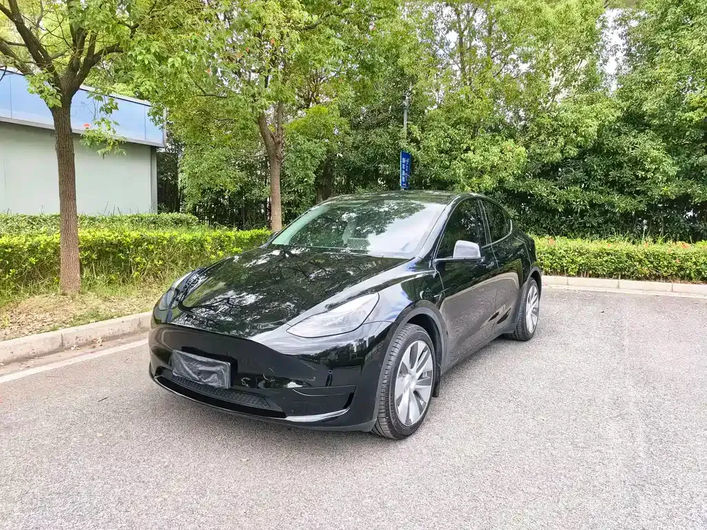 Tesla Model Y 2022 из CN, фото 1