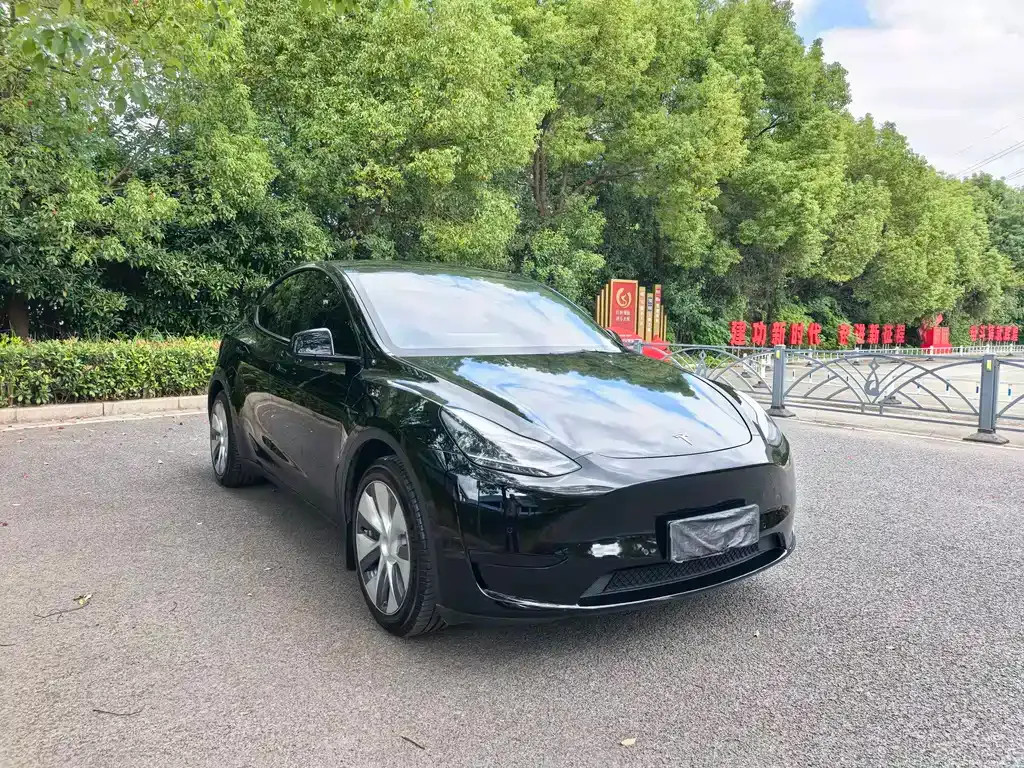 Tesla Model Y 2022 из CN, фото 3