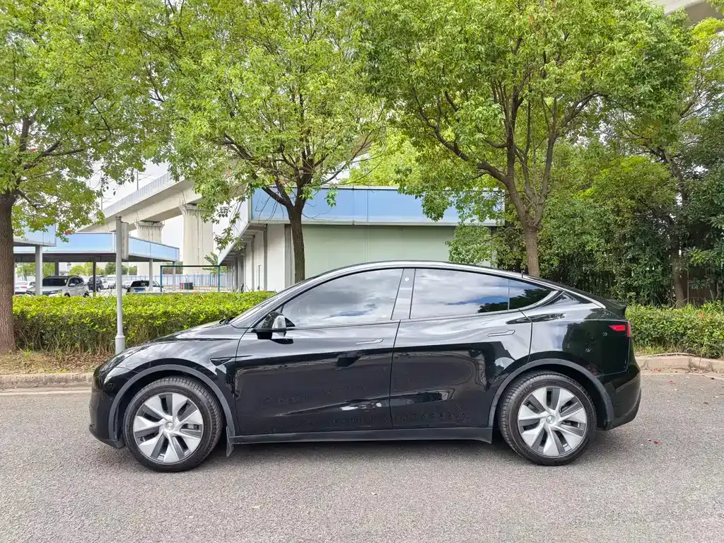 Tesla Model Y 2022 из CN, фото 4