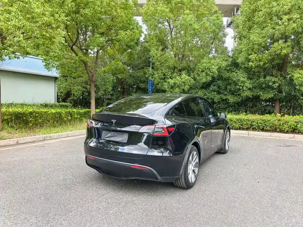 Tesla Model Y 2022 из CN, фото 6