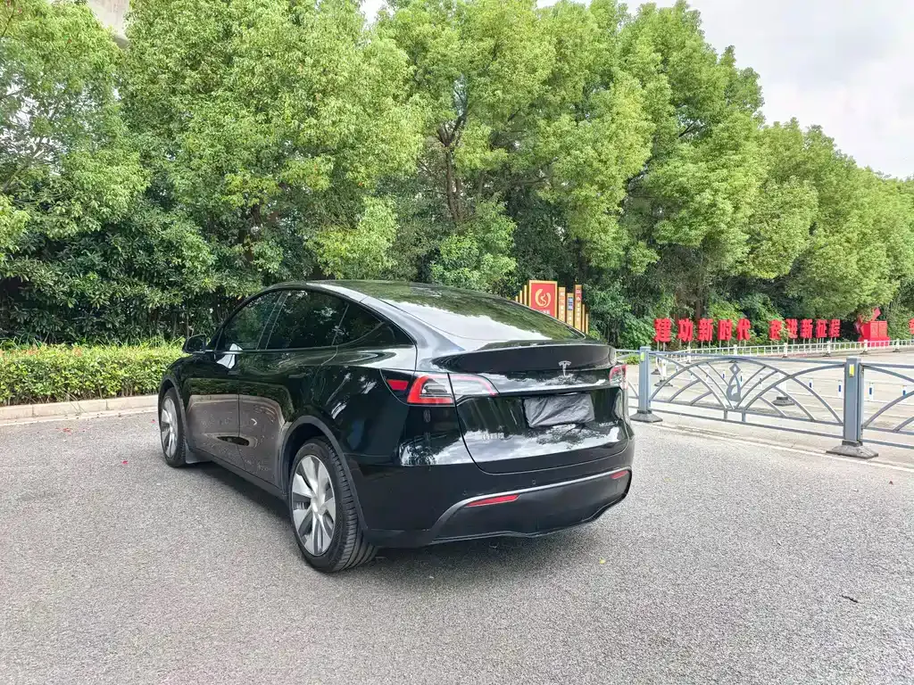 Tesla Model Y 2022 из CN, фото 7