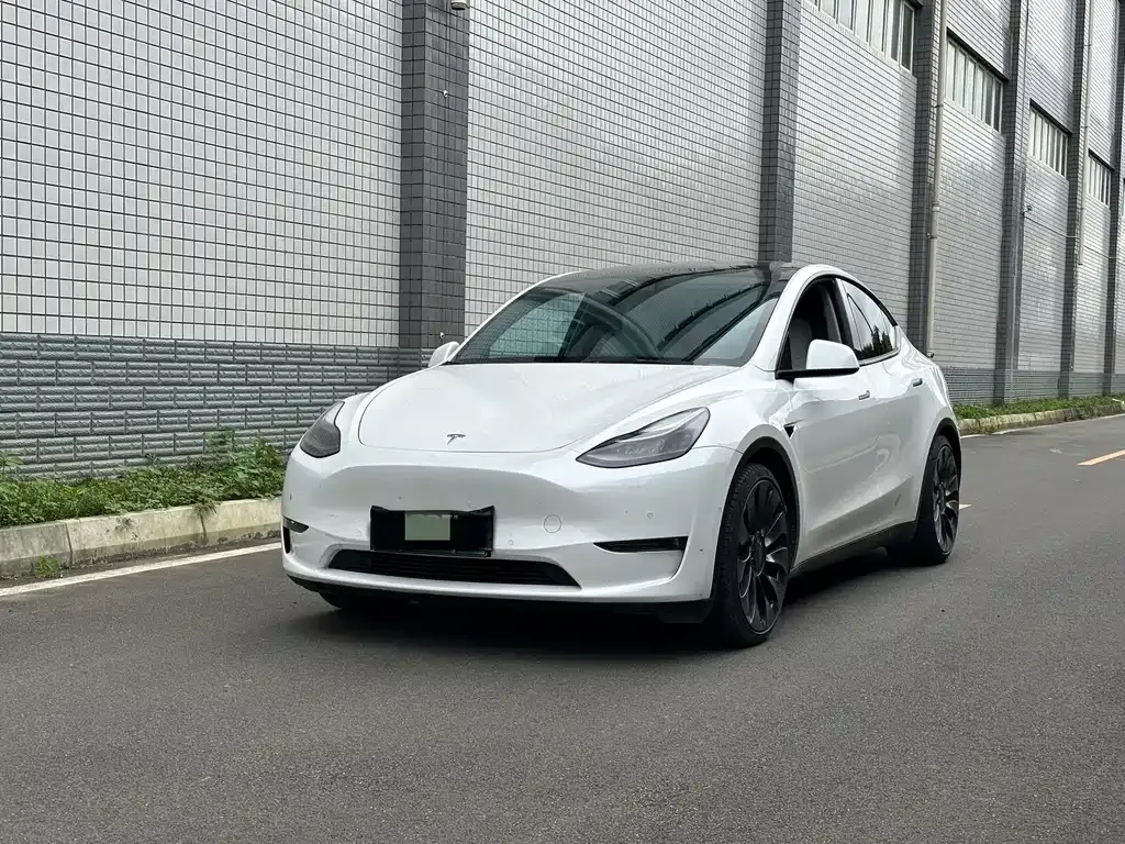 Tesla Model Y — фото 1